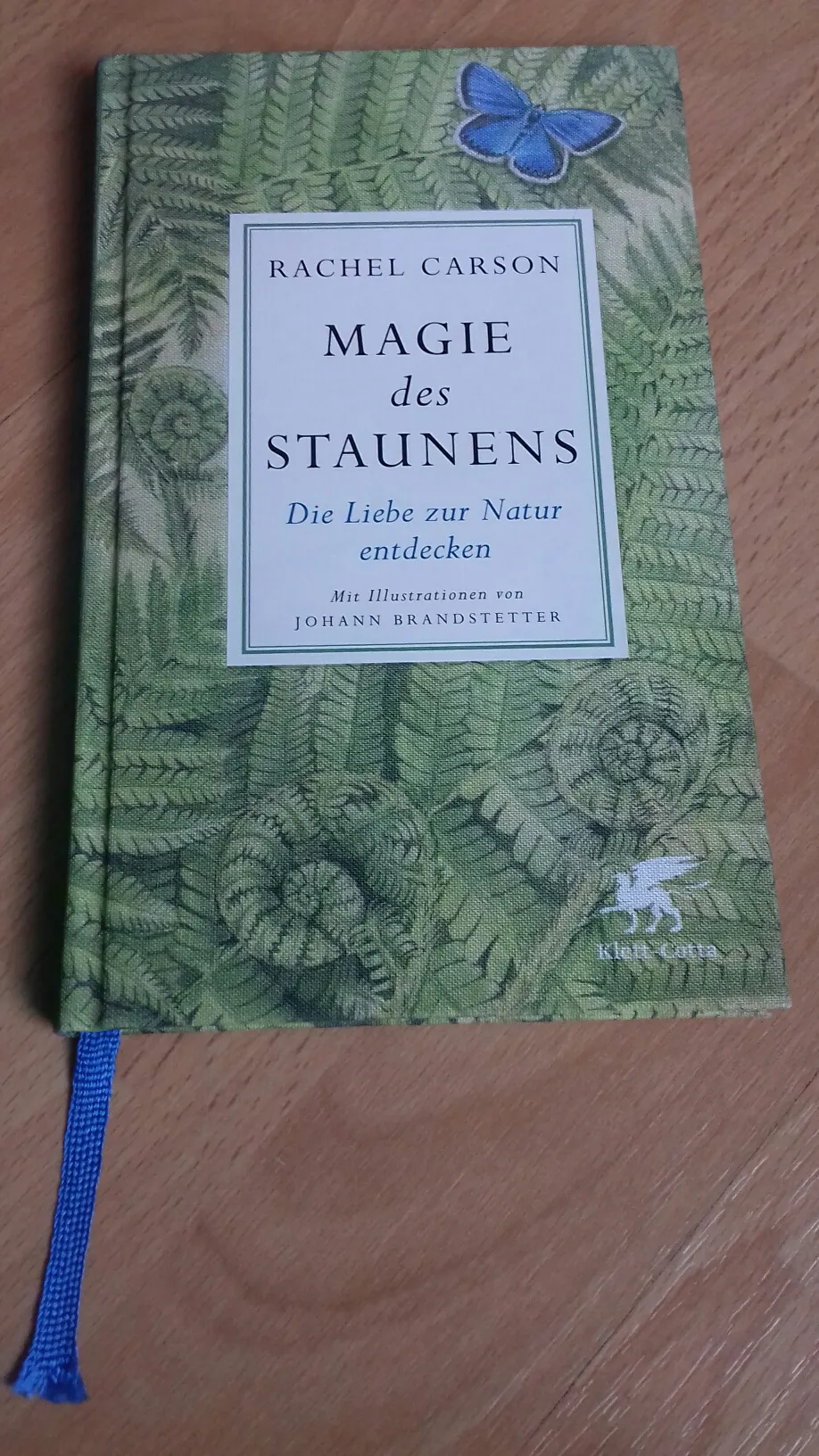 Ein Buch mit einem grünen Cover liegt auf einem hellbraunen Holztisch.