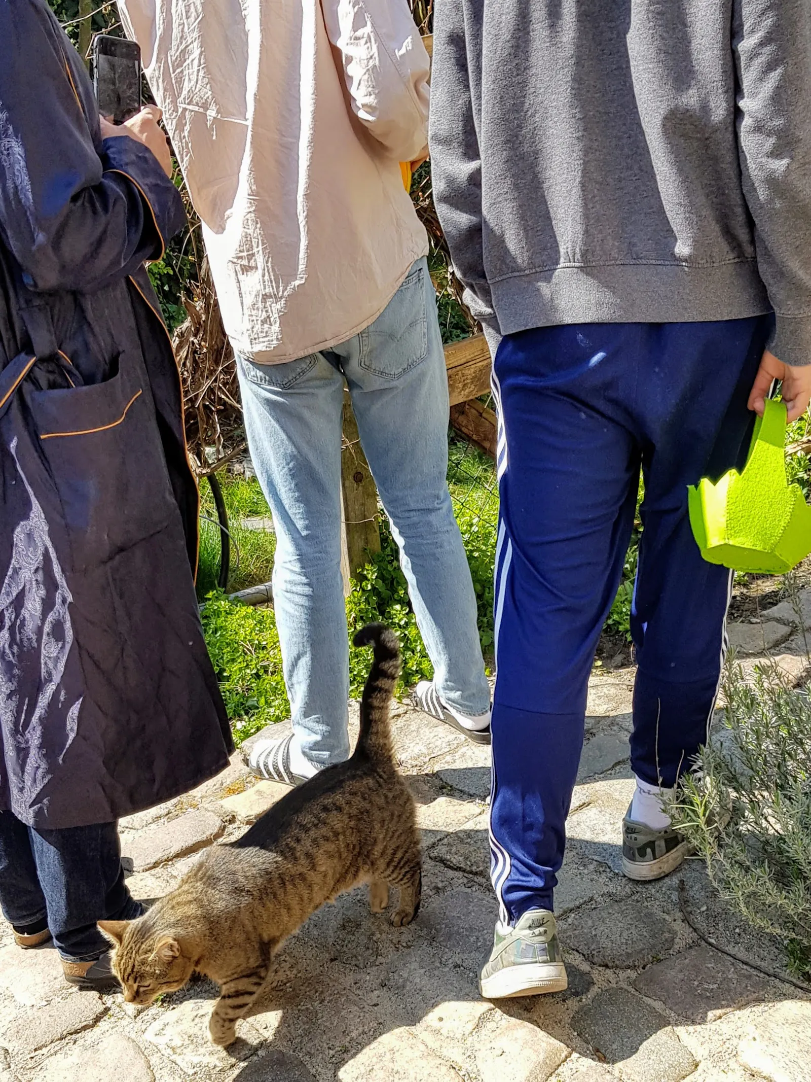 Rückenansicht von drei Personen, eine hält ein grünes Filzkörbchen in der Hand. Eine Katze läuft zwischen ihren Beinen hindurch.