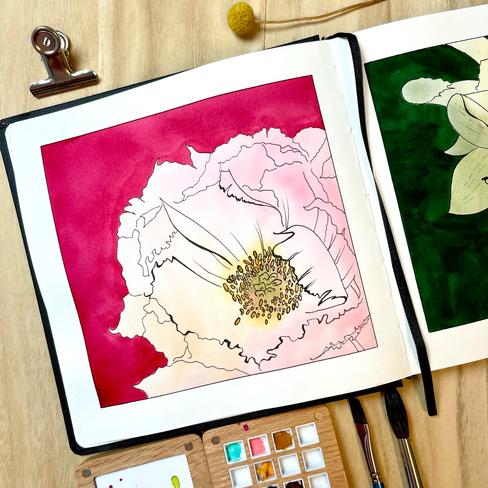 Eine Pfingstrose, gemalt mit Aquarellfarben.