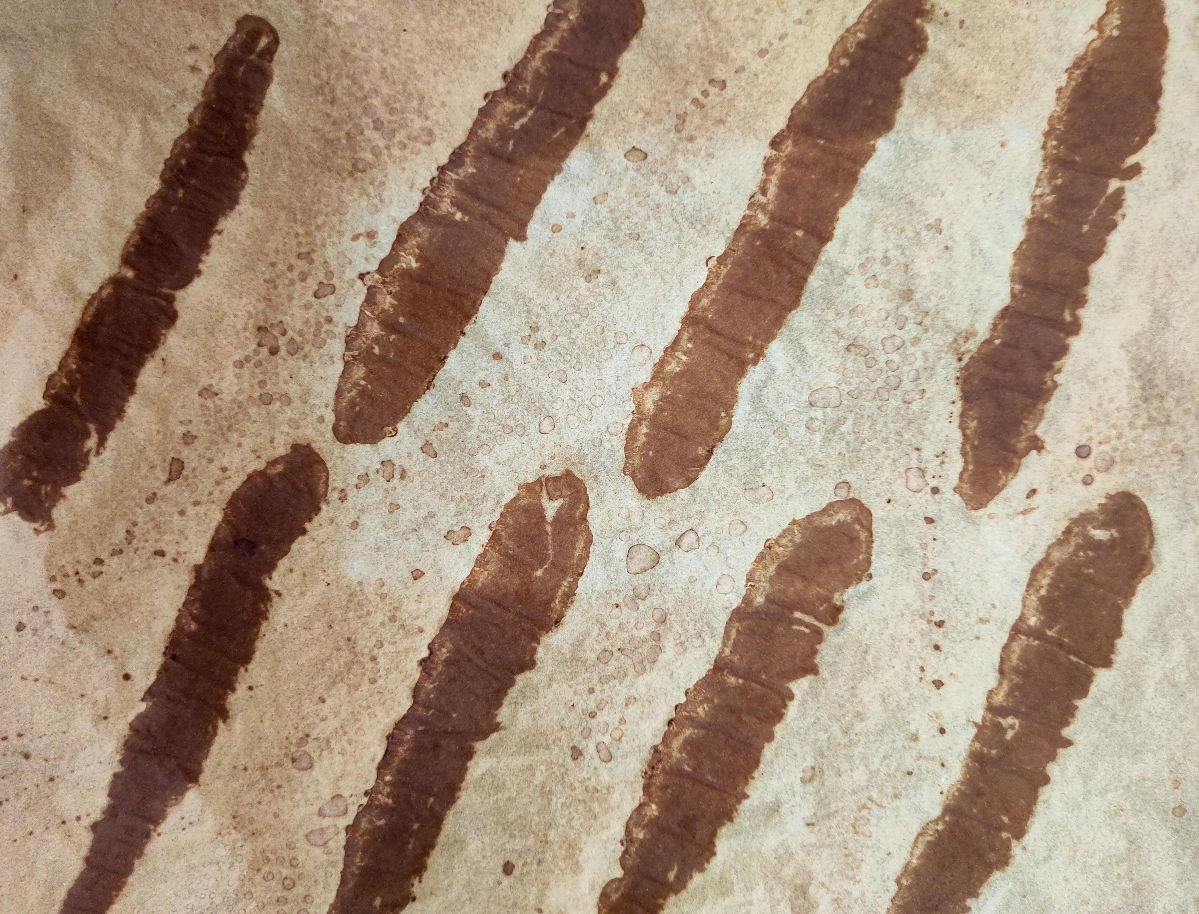 Dieses Backpapier war bei 250°C im Backofen. Riskant oder tolerabel? Was sagt die Fachwelt dazu?