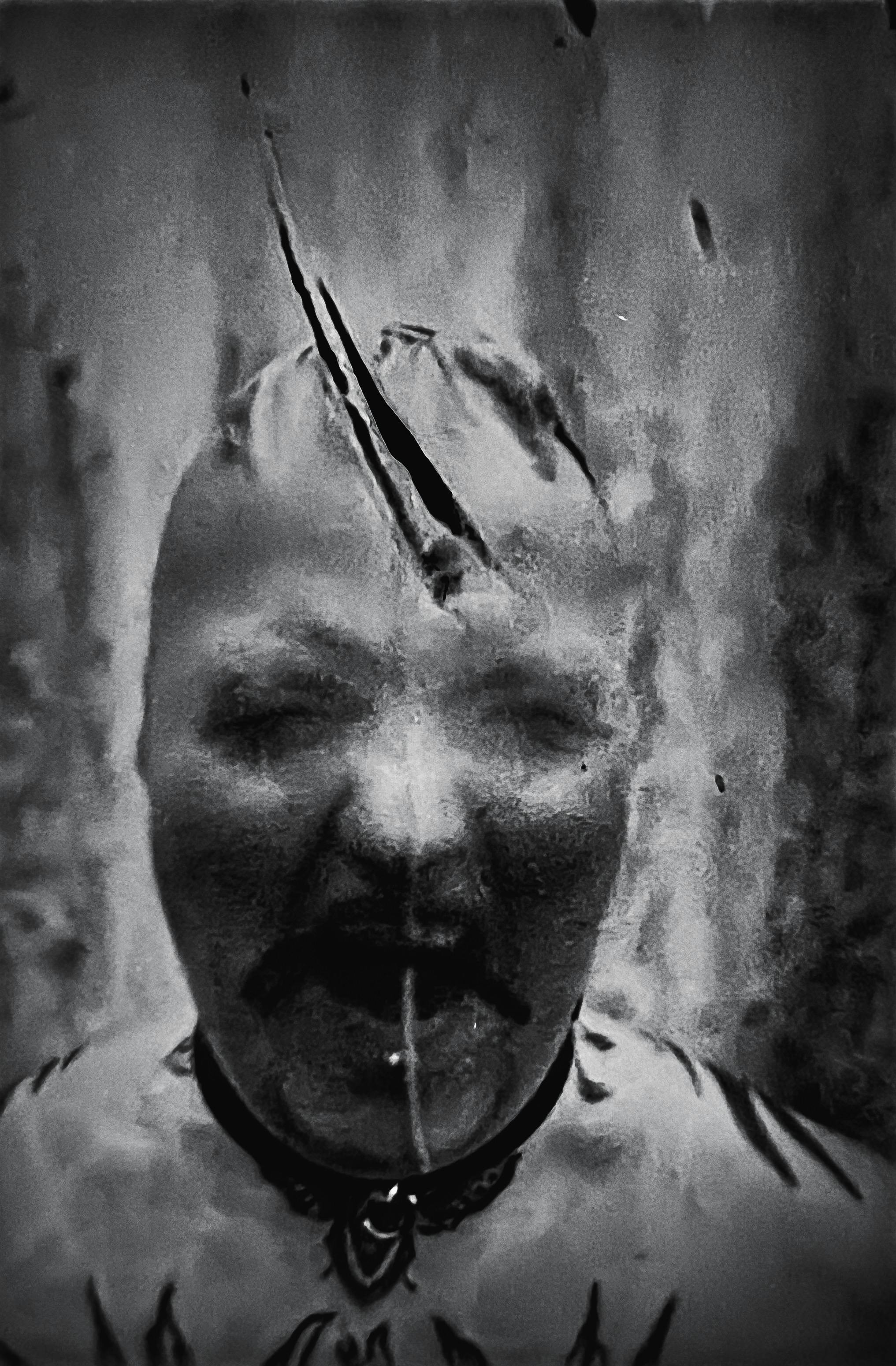 Der Anonyme Schrei