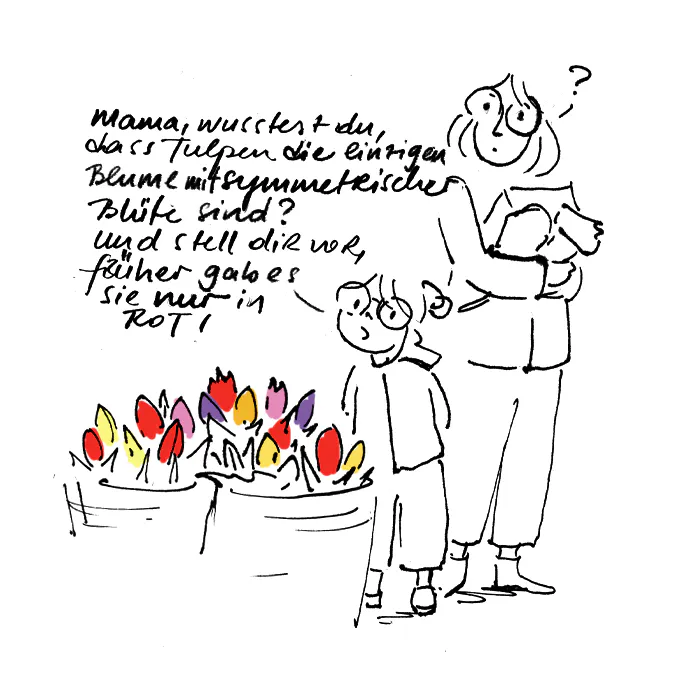 Wusstest du, dass Tulpen früher nur in Rot blühten?