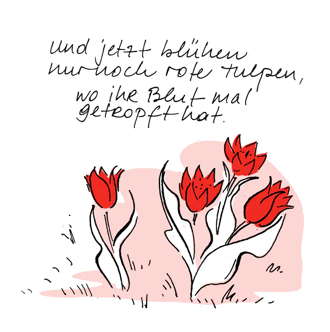 Blühende rote Tulpen