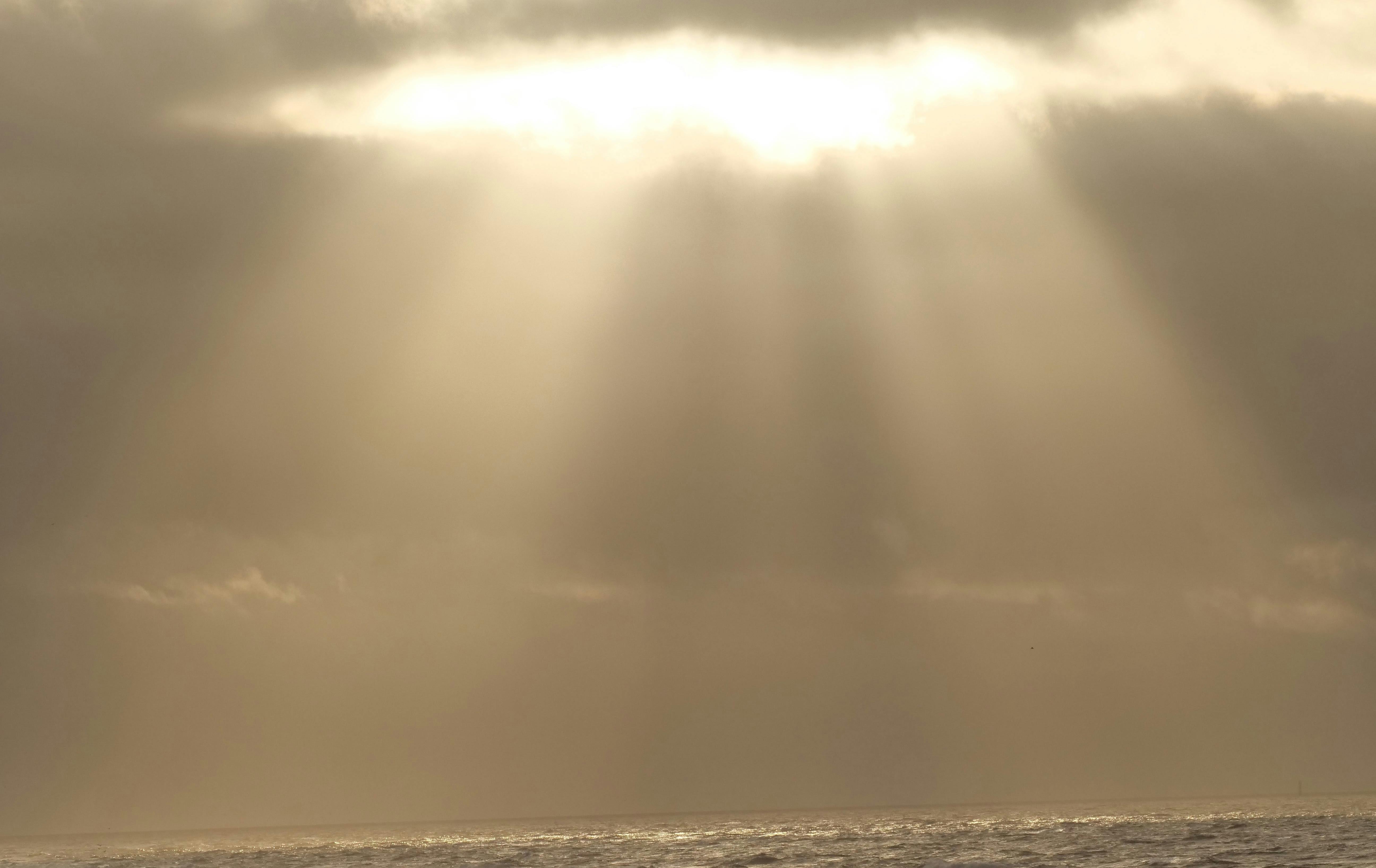 Sonne kann schön sein. Aber zurzeit brennt sie eher unerträglich. Foto: Jürgen Brand