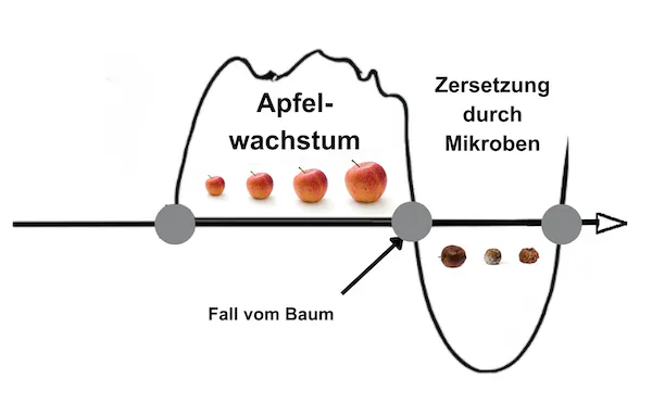 Horizontale Lebenslinie. Ab einem Punkt steigt eine Kurve nach oben, senkt sich nach unten, kreuzt die Lebenslinie um einen nach oben offenen Halbreis zur Lebenslinie zu machen.
In der nach oben führenden Kurve steht: Apfelwachstum. Es sind vier Äpfel abgebildet, die sich langsam vergrößern. Der zur Lebenslinie kreuzende Punkt ist mit Fall vom Baum beschriftet. in der nach unten gehenden Kurve findet die Zersetzung der Äpfel durch Mikroben statt.