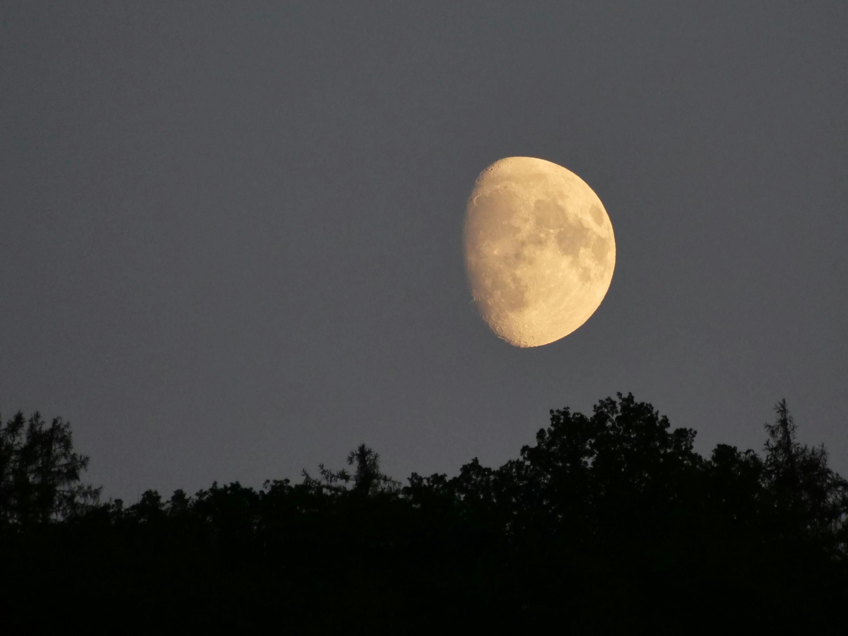 An manchen der vergangenen lauen Sommerabenden hat der Mond von Gaisburg aus betrachtet wie eine leuchtende Kugel über der dunklen Waldebene geschwebt. Foto: Jürgen Brand