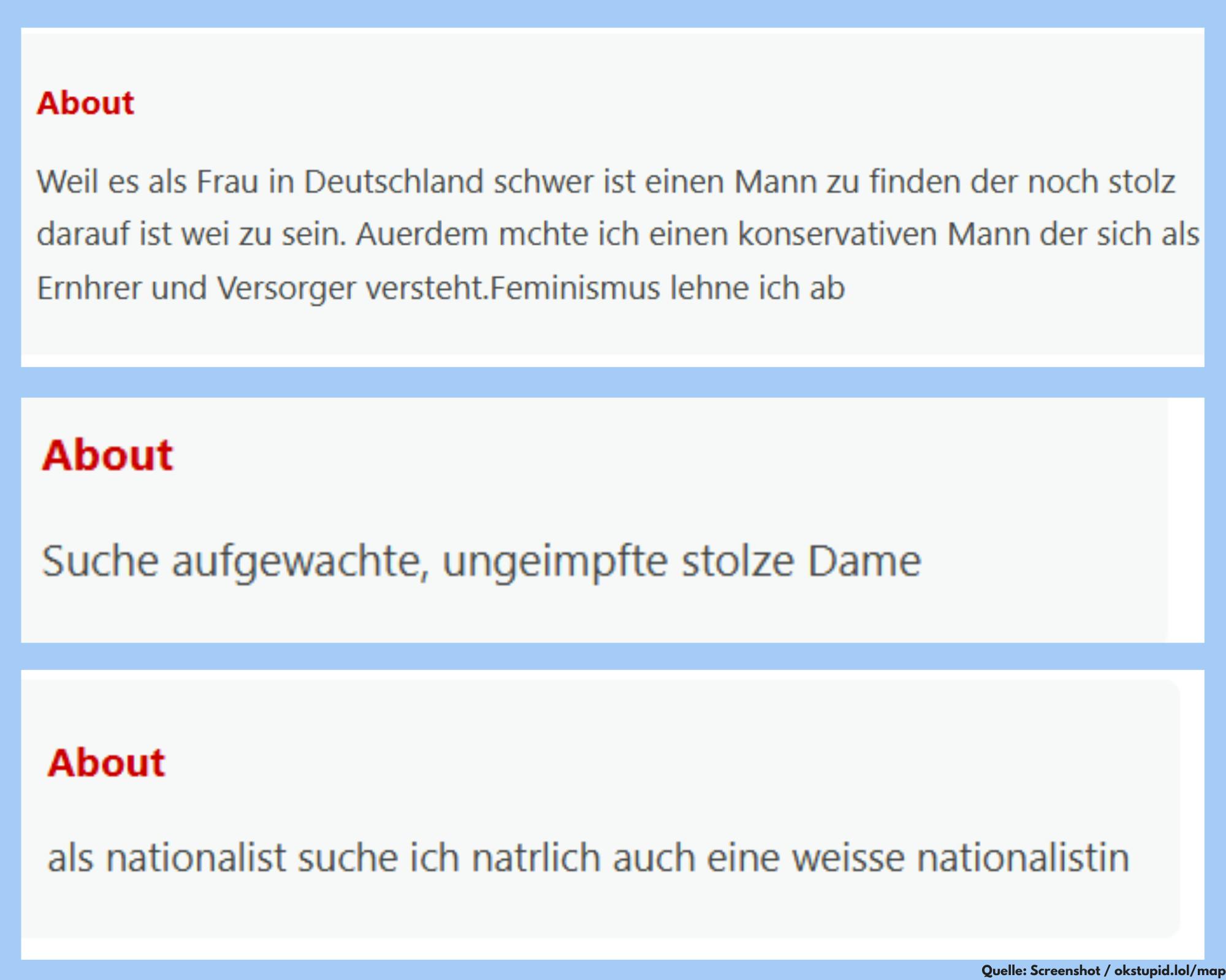 Auszüge von der Datingplattform WhiteDate.net. Da suchen Männer "aufgewachte, ungeimpfte" stolze Damen oder gleich direkt "weisse nationalistinnen".