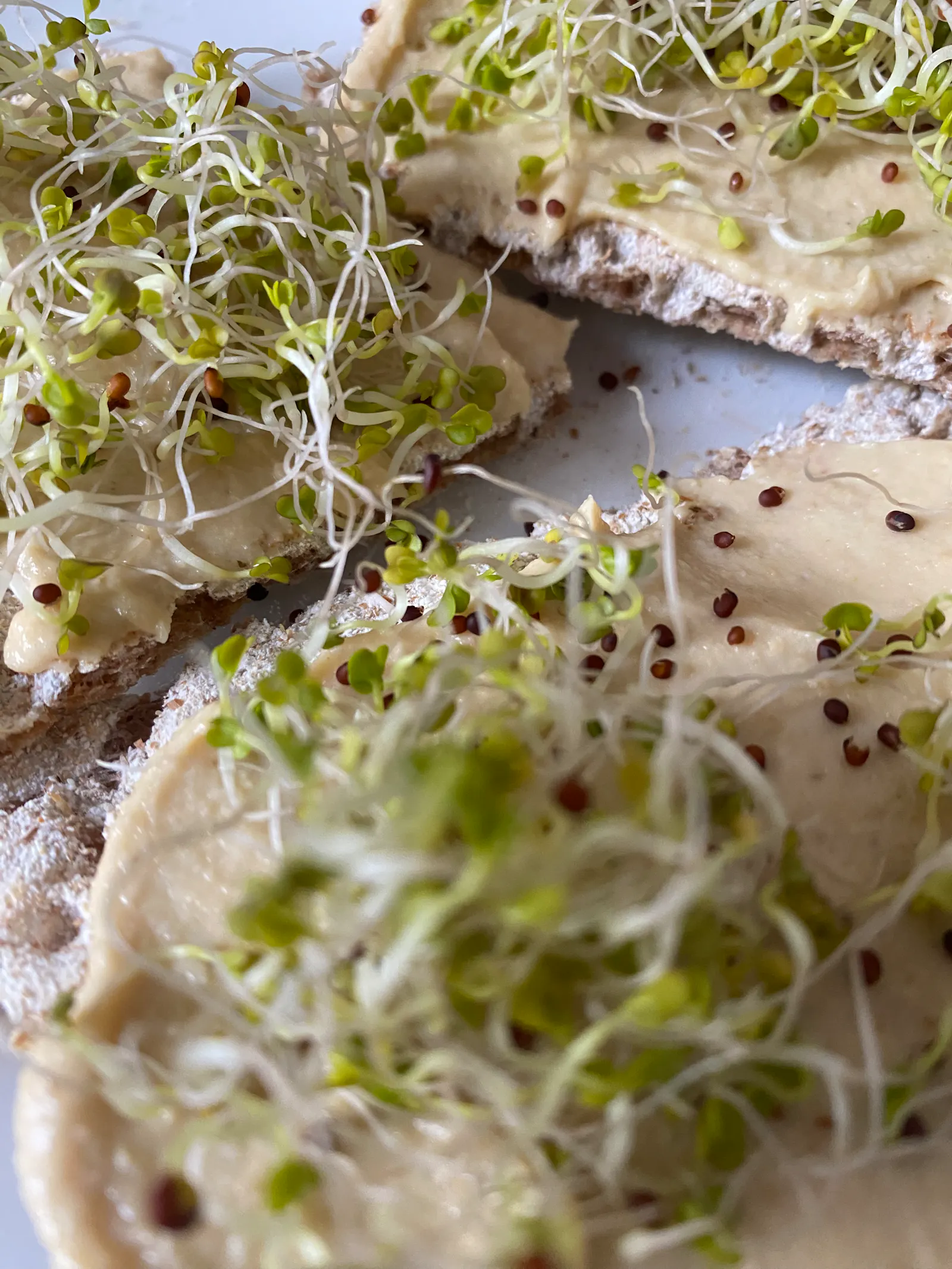 Knäckebrot mit Humus-Aufstrich und Brokkolisprossen