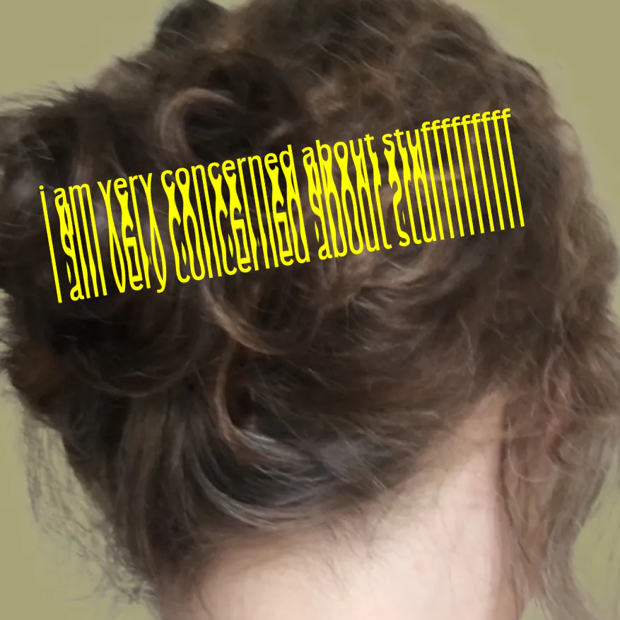Im Bild ist mein Hinterkopf vor dem Friseurbesuch zu sehen. Eine gestretchte, gelbe Schrift sagt: "I am very concerned about stuff"