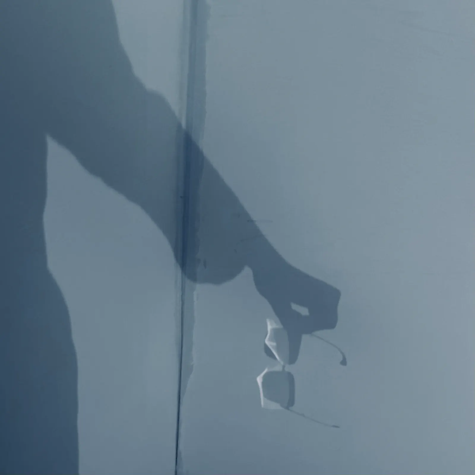 Bläuliches Foto zeigt Schattenumriss halber Rumpf und Arm, Hand hält große Brille