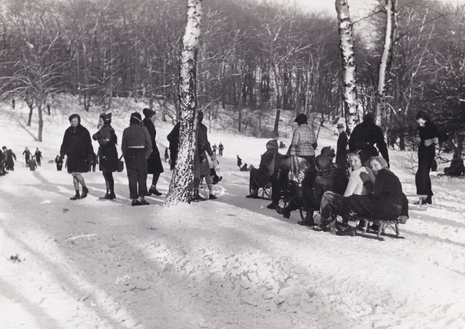 Historisches schwarz-Weiß-Bild mit Kindern auf Schlitten und Skiern in einer verschneiten Landschaft mit Birken und einer Hangkante im Hintergrund.