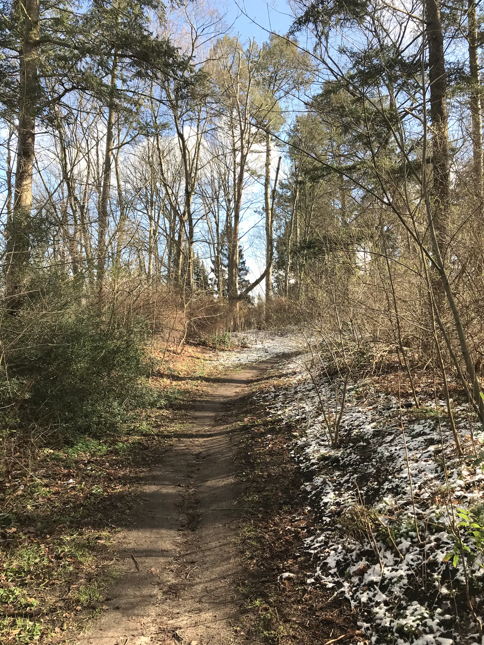 ein pfad zwischen bäumen in einem park, die bäume sind kahl mit dem hauch grün kurz bevor die Blätter ausschlagen, am wegrand liegt dünn etwas schnee / path in a park between trees which are bare but carrying the hint of green right before leaves start growing, a thin layer of snow at the wayside