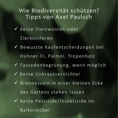 Aufzählung zum Thema "Wie schütze ich die tierische Vielfalt?". Tipps von Axel Paulsch: u.a. Keine Steinwüsten oder Zierkoniferen, keine Unkrautvernichter im Garten oder Insektizide auf dem Balkon. Dafür Fassadenbegrünung und Brennesseln in einer Garten-Ecke (wo möglich).