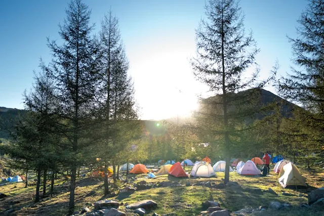 Feriencamp im Wald