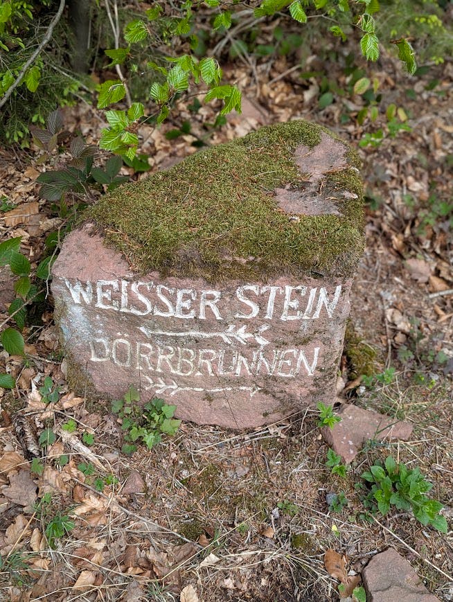 Moosbewachsener Wegweiserstein