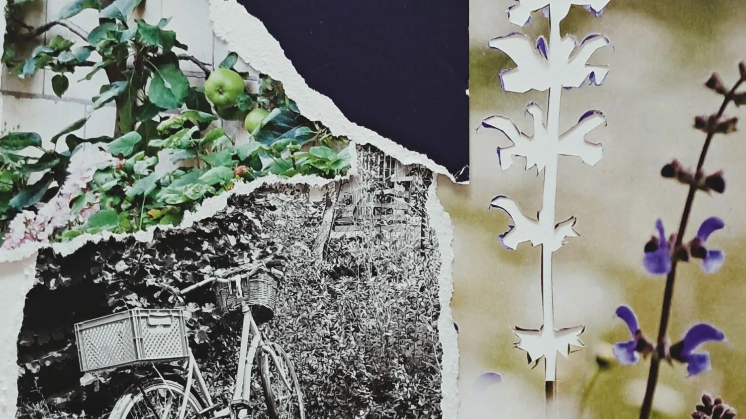 Verschiedene Fotos mit sommerlichen Motiven.
