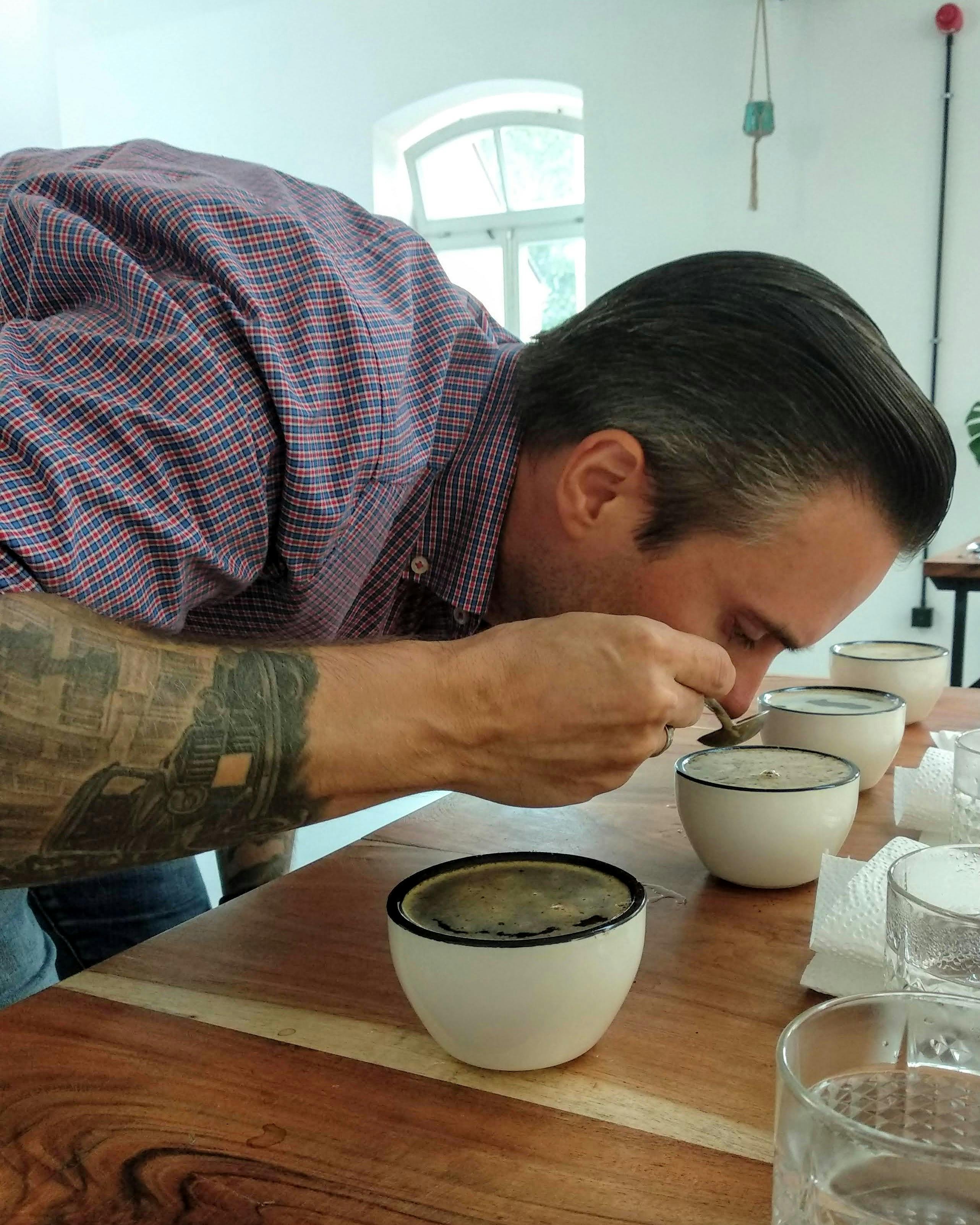 Nahaufnahme im Profil: Ein Mann mit tätowiertem Arm riecht intensiv an frisch aufgebrühtem Kaffee in weißen Cupping-Tassen, um die Qualität zu bestimmen.