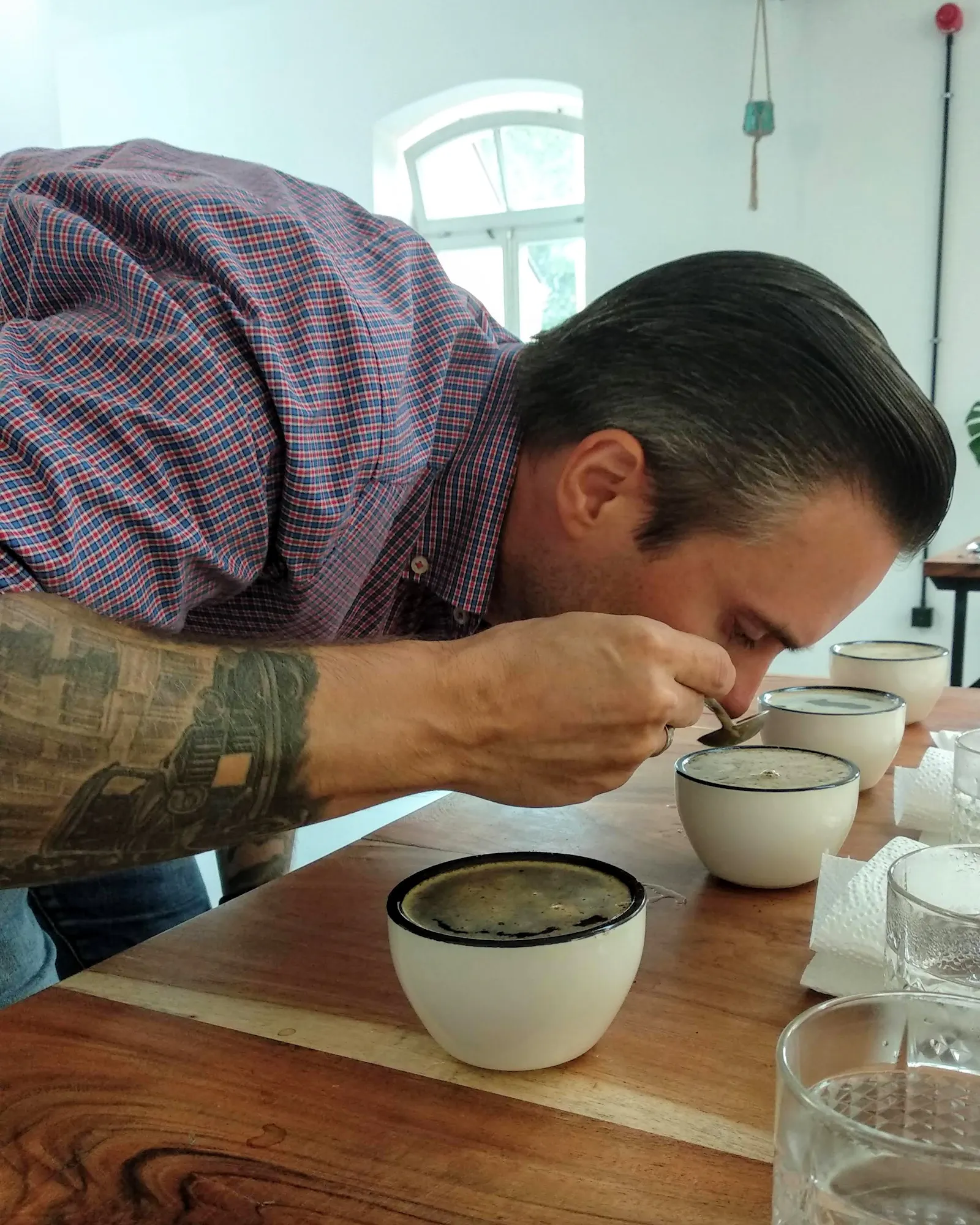 Nahaufnahme im Profil: Ein Mann mit tätowiertem Arm riecht intensiv an frisch aufgebrühtem Kaffee in weißen Cupping-Tassen, um die Qualität zu bestimmen.
