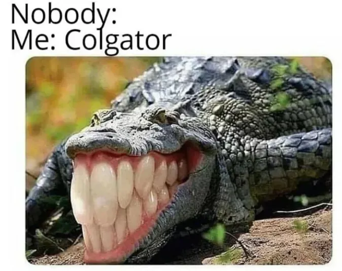 Ein Alogator mit riesigen menschlichen Zähnen. Colgator.