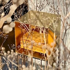 Goldener Shrine of Hope, Kunstinstallation