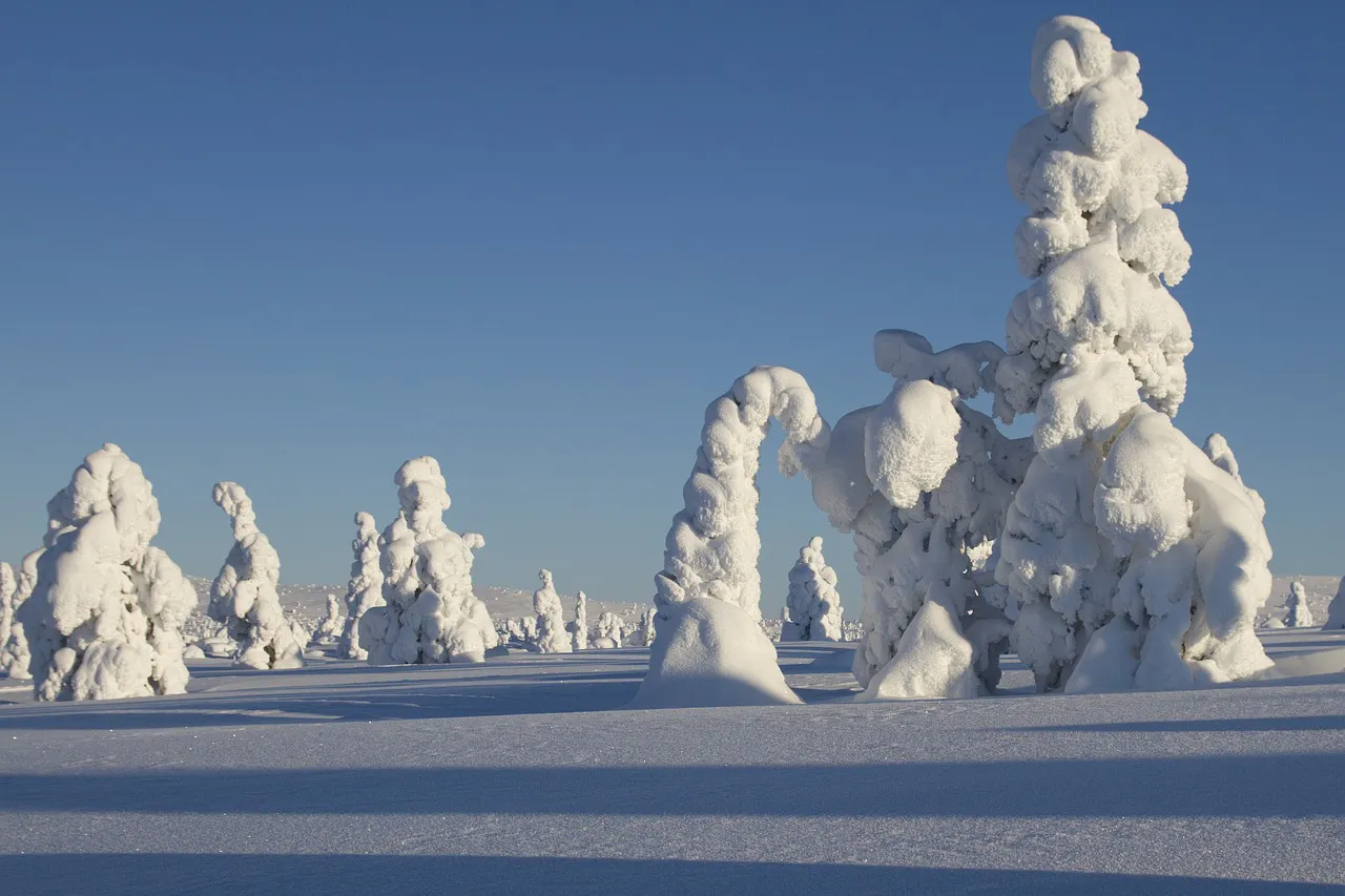 Schneemassen in Nordschweden können absolut bezaubernd sein.