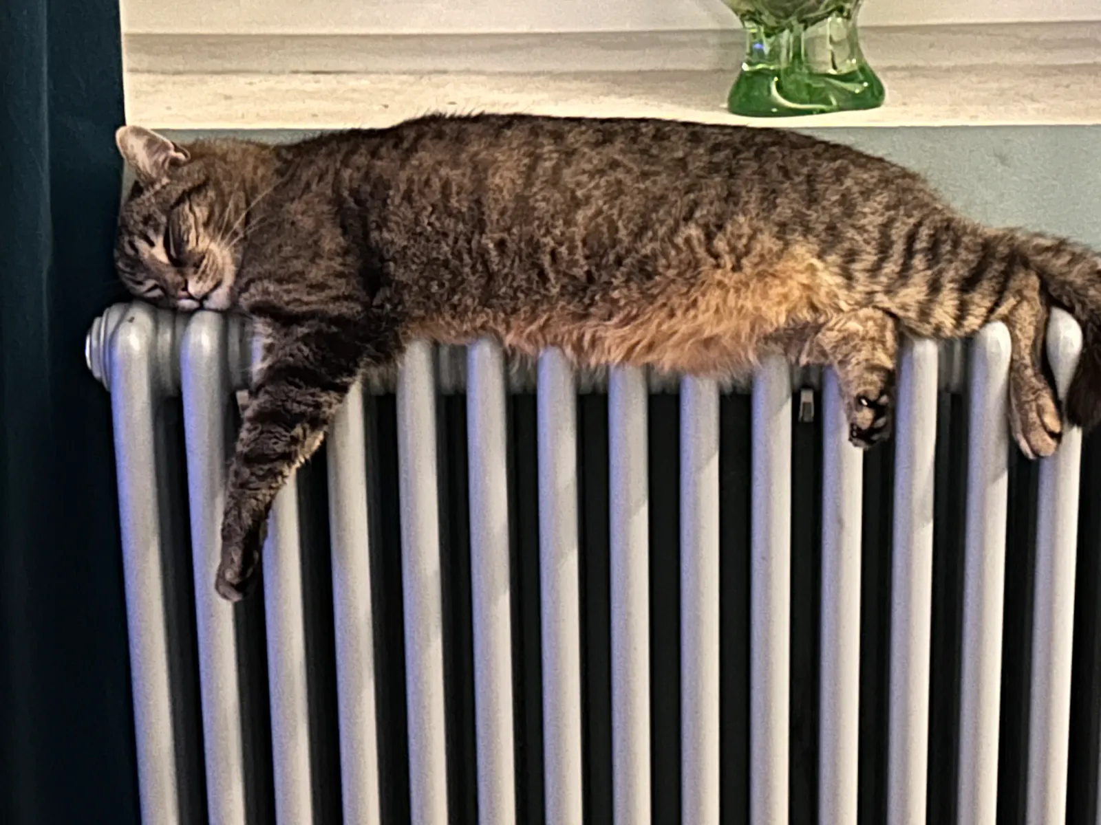 Katze liegt schlafend auf einer Heizung.