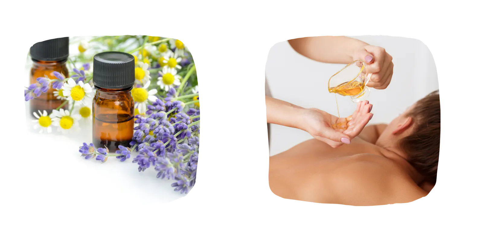 Aromatherapie, Lavendel mit Pflanze und Flaschen, Einrebung mit ätherischen Ölen.