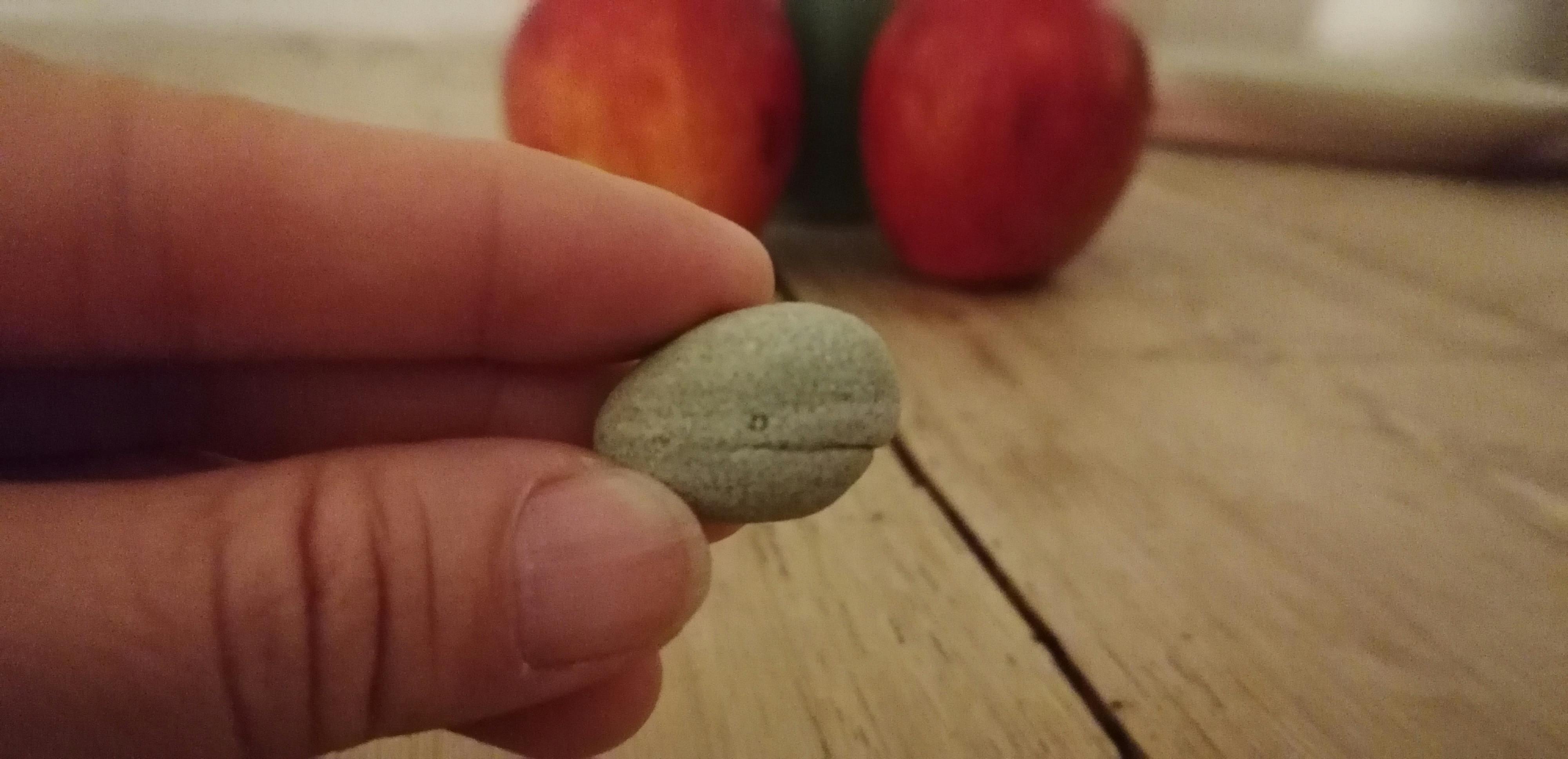 Ich halte einen kleine Stein der aussieht wie ein Wal in meinen Fingern.
