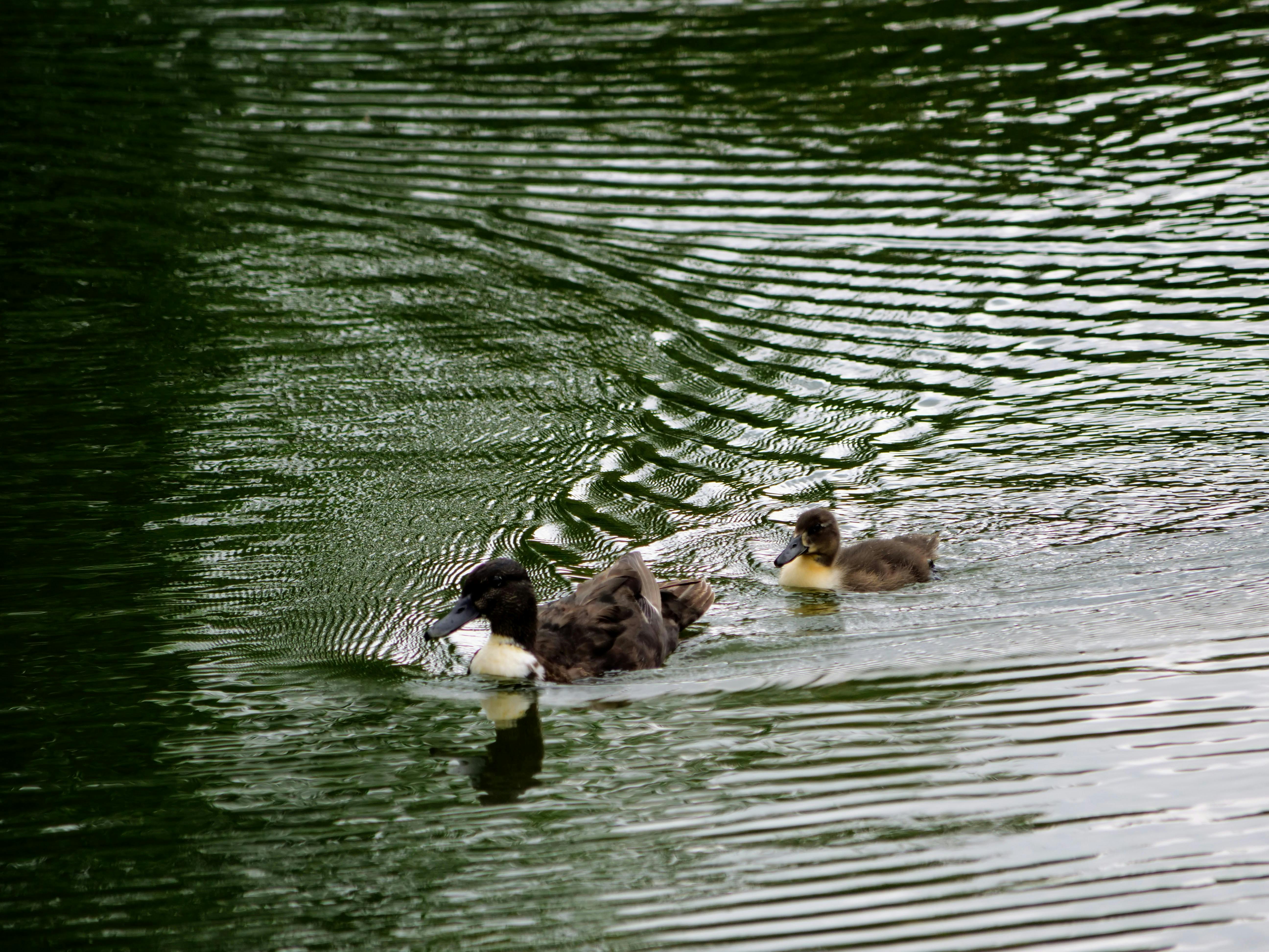 Am Donnerstag fangen die Sommerferien an. Es geht also nach und nach etwas gemächlicher zu in der Stadt, auch auf dem Wasser. Foto: Jürgen Brand