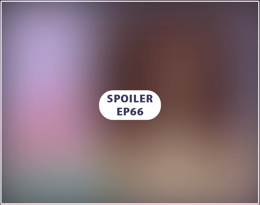 Spoiler-Schutz EP66