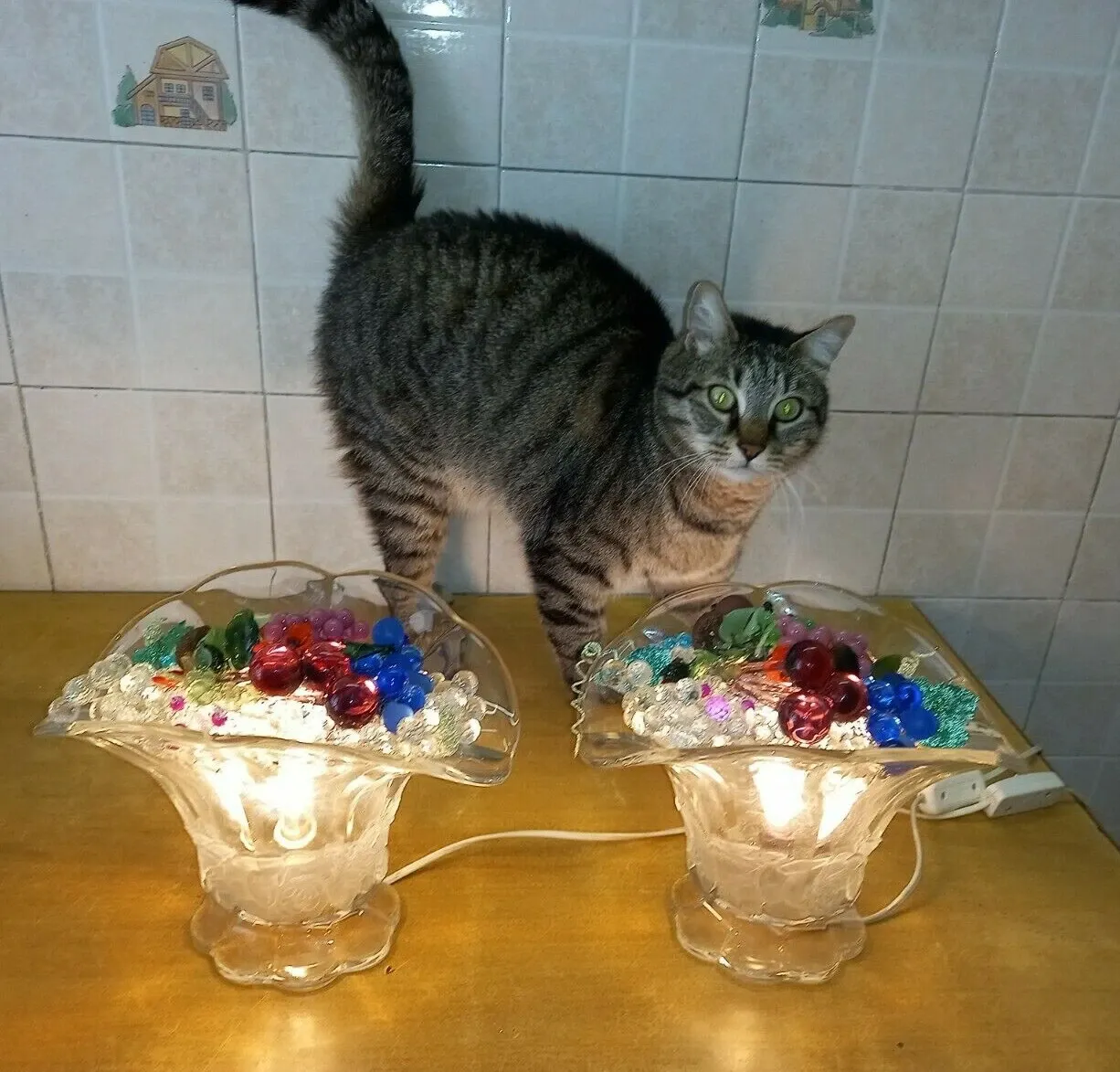 Gestreifte Hauskatze hinter angeschalteten Murano-Obstkorb-Lampen
