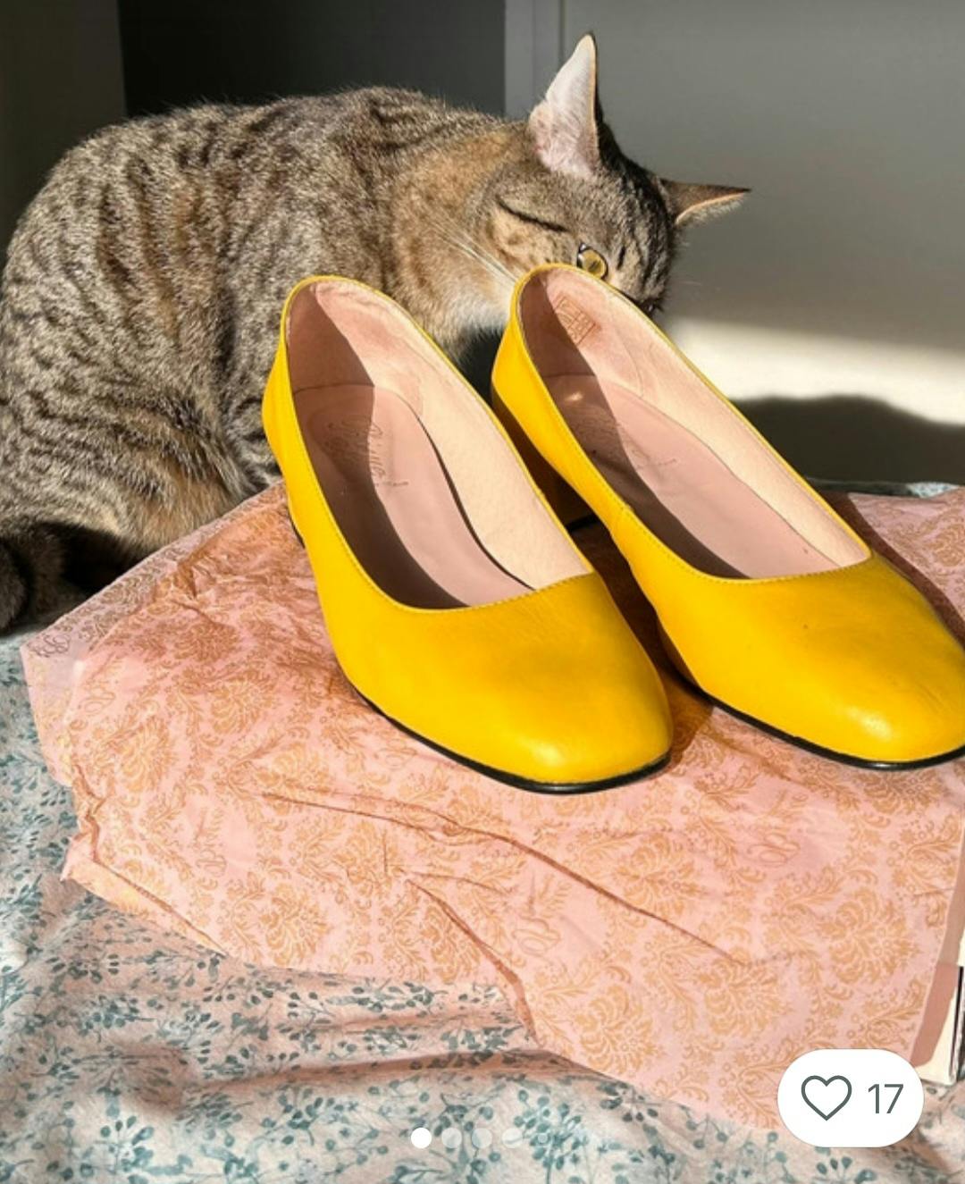 Gestreifte Hauskatze hinter gelben Pumps