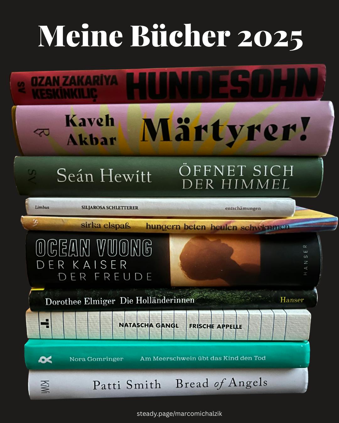 Das Bild zeigt einen Bücherstapel auf dem alle Bücher abgebildet sind, die in dem Text erwähnt werden.