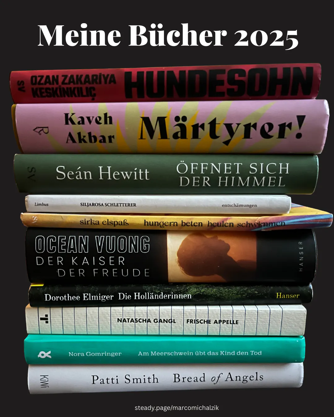 Das Bild zeigt einen Bücherstapel auf dem alle Bücher abgebildet sind, die in dem Text erwähnt werden.