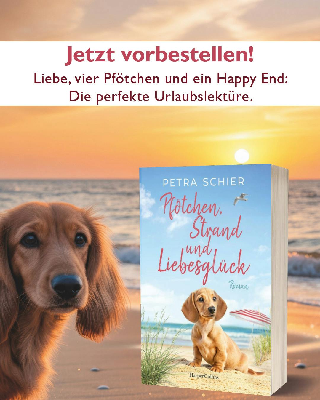 Buchcover Pfötchen, Strand und Liebesglück vor Meer und Strand bei Sonnenuntergang, links daneben blickt ein Dackel frech in die Kamera
