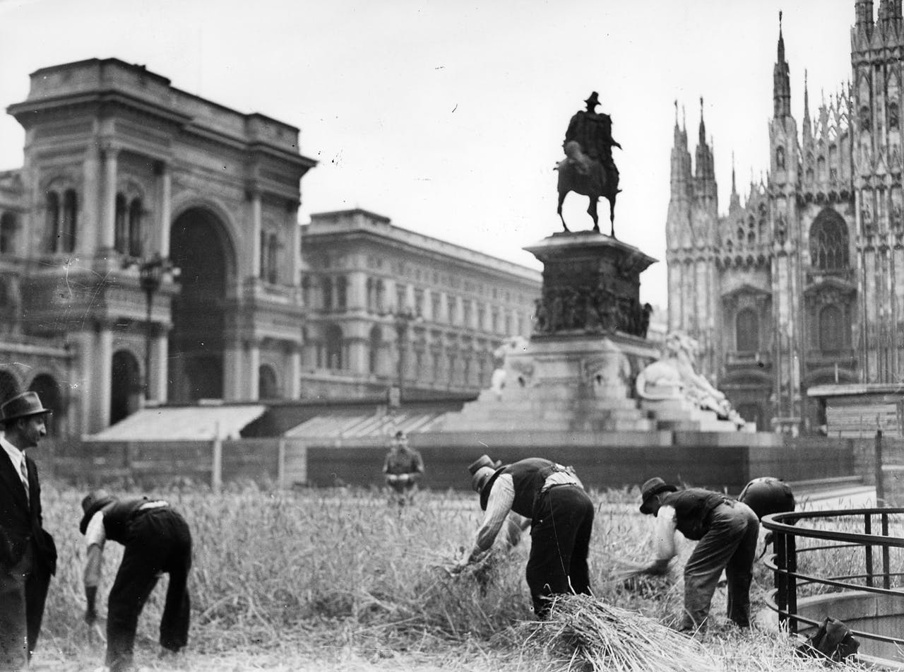 La racconta del grano in piazza del Duomo a Milano nell'estate del 1943.