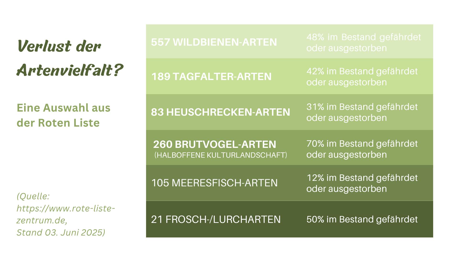 Eine in Grün gehaltene, zweispaltige Tabelle. Überschrift: Verlust der Artenvielfalt? Eine Auswahl aus der Roten Liste (www.rote-liste-zentrum.de). Durchschnittlich 30-50 Prozent von Wildbienen, Tagfaltern, Fröschen und Lurchen, sowie Heuschrecken sind bedroht. Brutvögel auf Äckern sogar 70%, Meeresfische 12%.