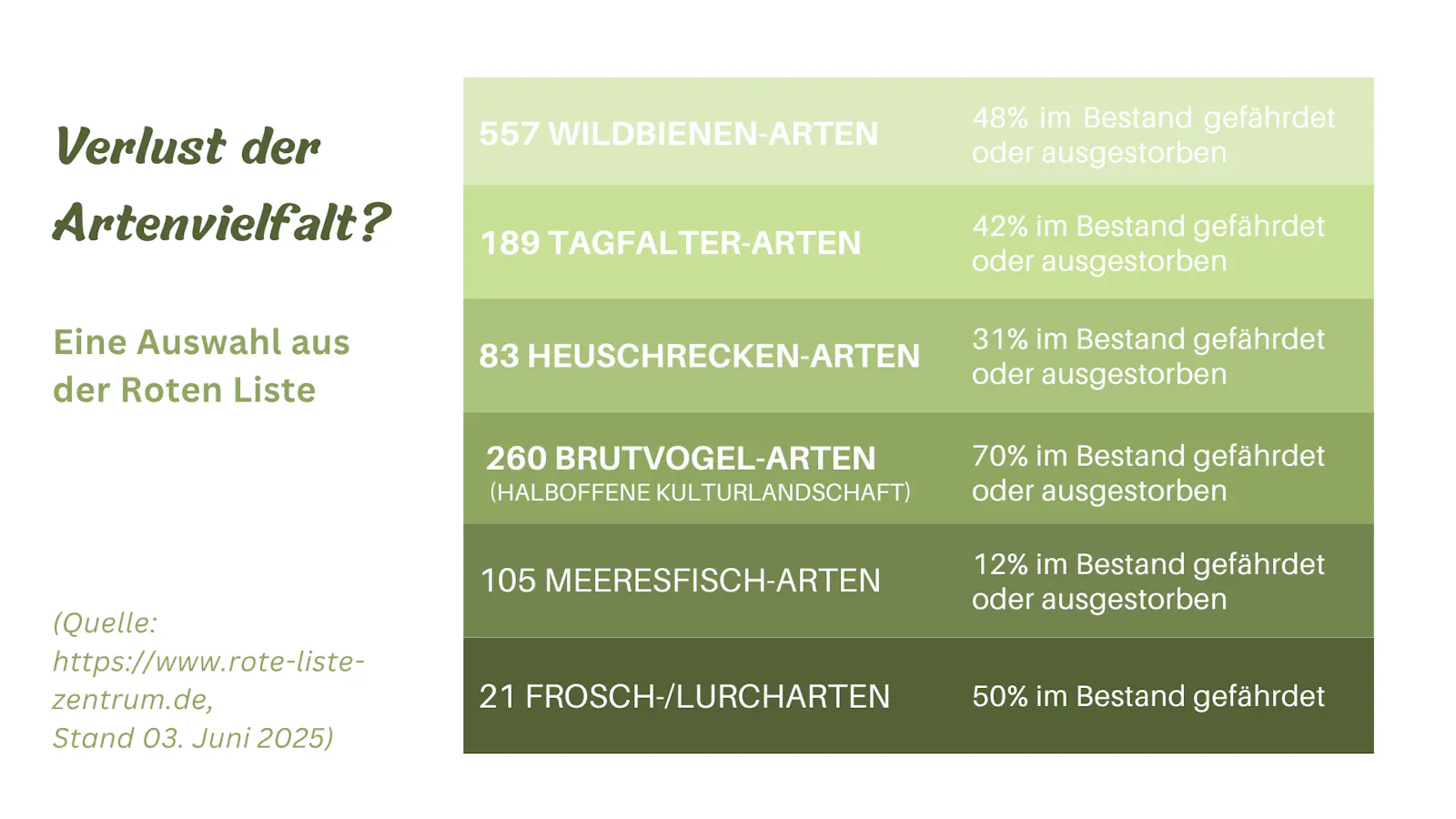 Eine in Grün gehaltene, zweispaltige Tabelle. Überschrift: Verlust der Artenvielfalt? Eine Auswahl aus der Roten Liste (www.rote-liste-zentrum.de). Durchschnittlich 30-50 Prozent von Wildbienen, Tagfaltern, Fröschen und Lurchen, sowie Heuschrecken sind bedroht. Brutvögel auf Äckern sogar 70%, Meeresfische 12%.