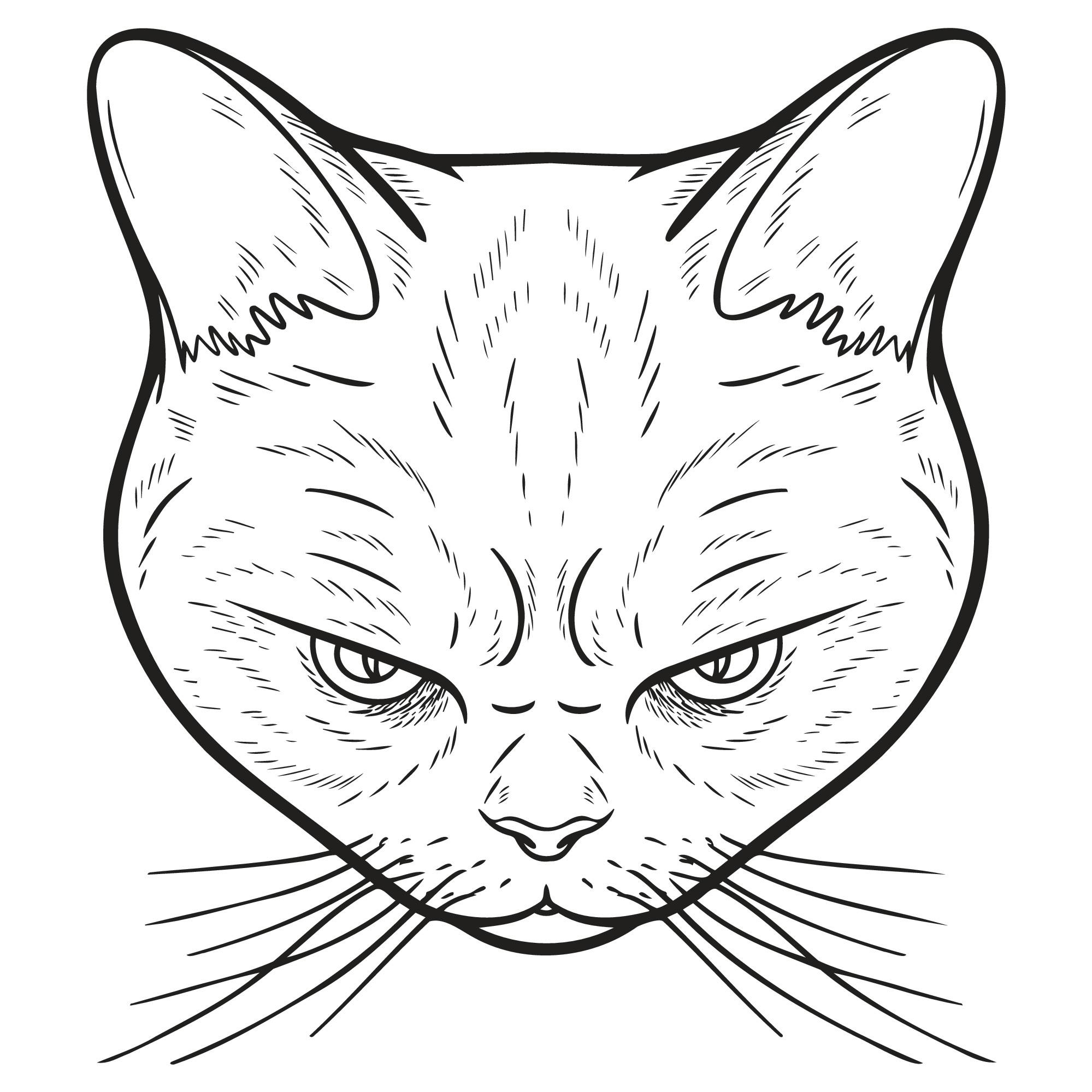 Eine Zeichnung, das Gesicht einer übel dreinblickenden Katze.