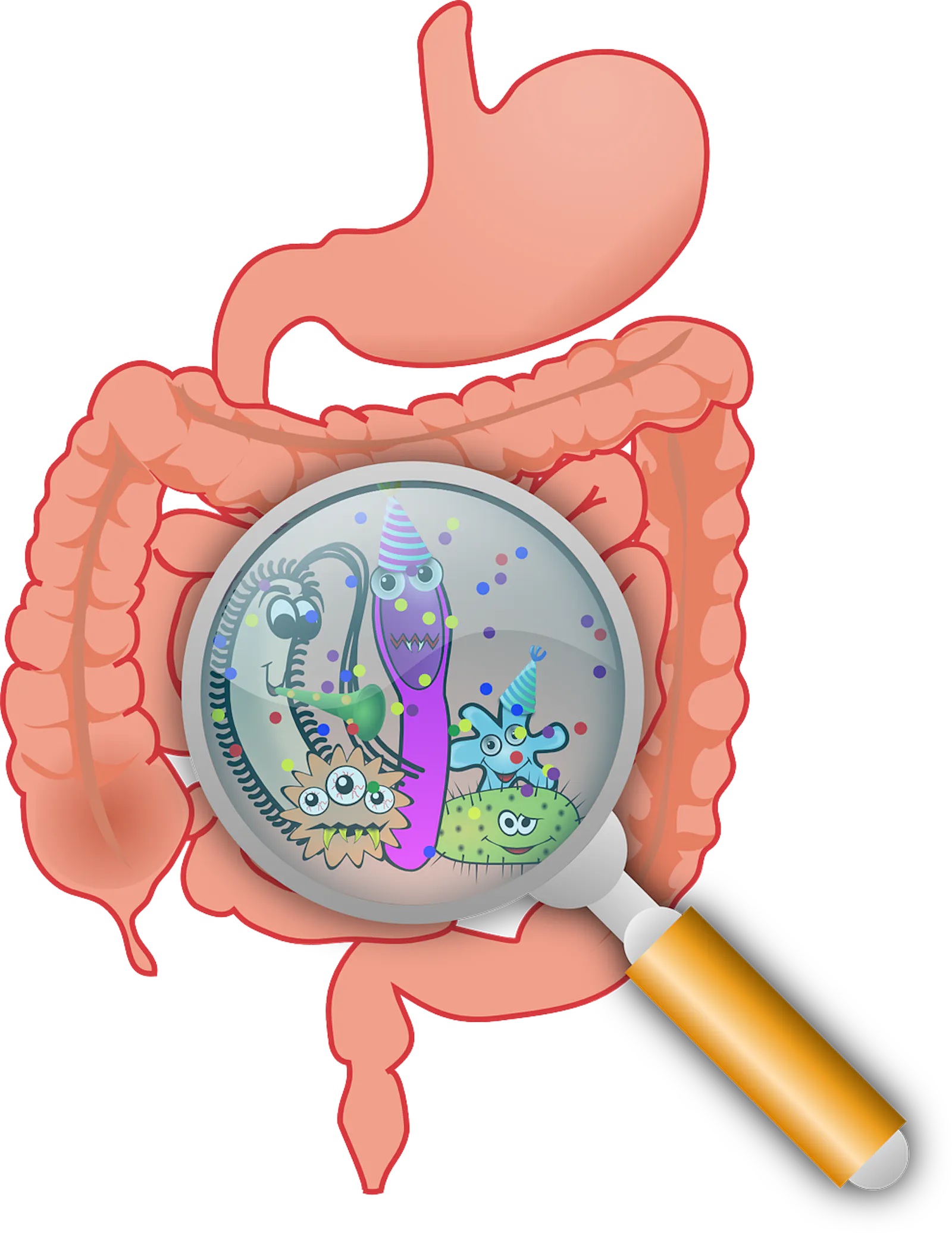 Unser Darm ist von unzähligen Mikroorganismen besiedelt. (Quelle: PixaBay)