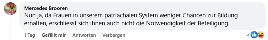 Screenshot des Kommentars