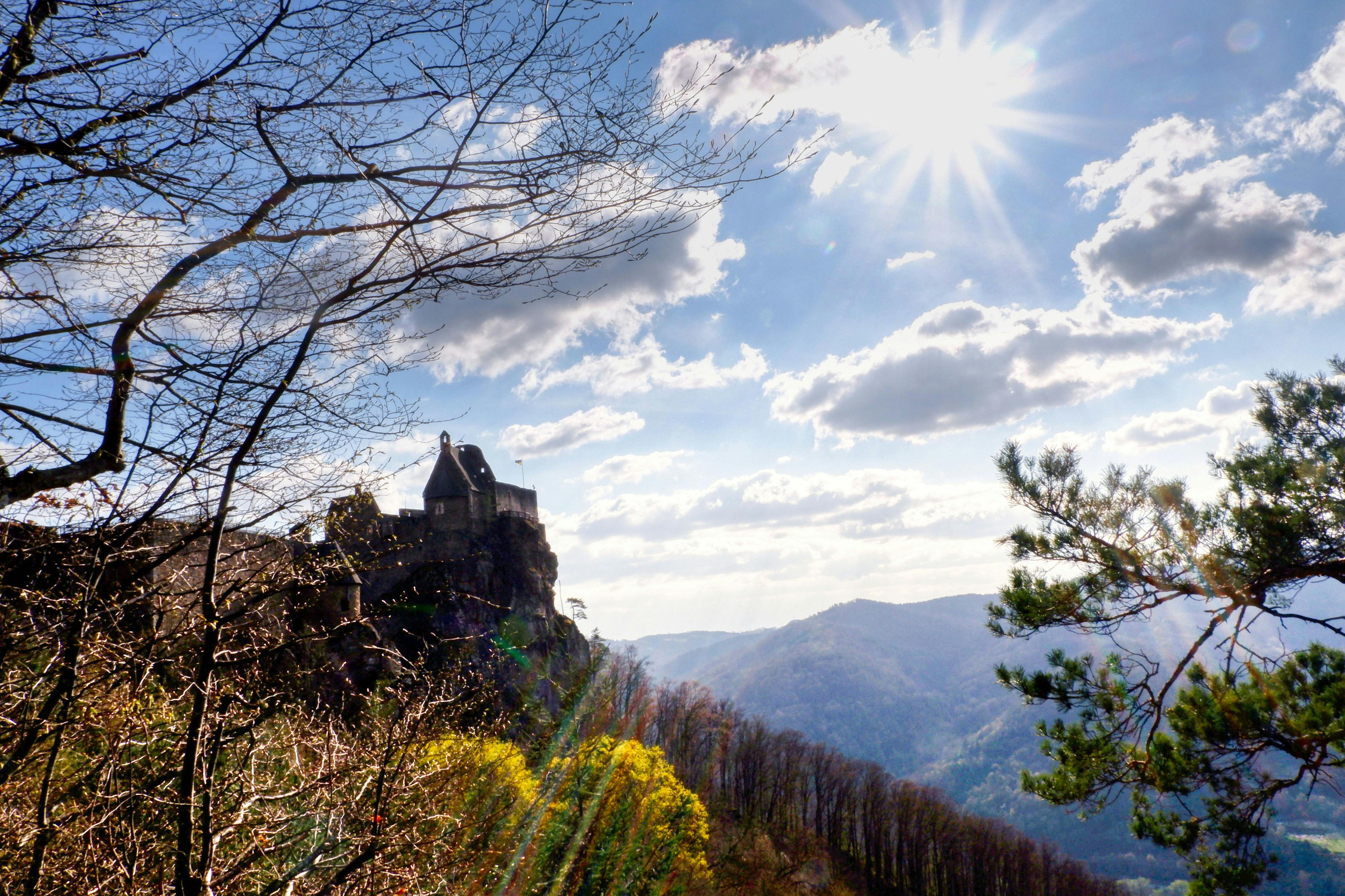 Blick zur Burgruine Aggstein