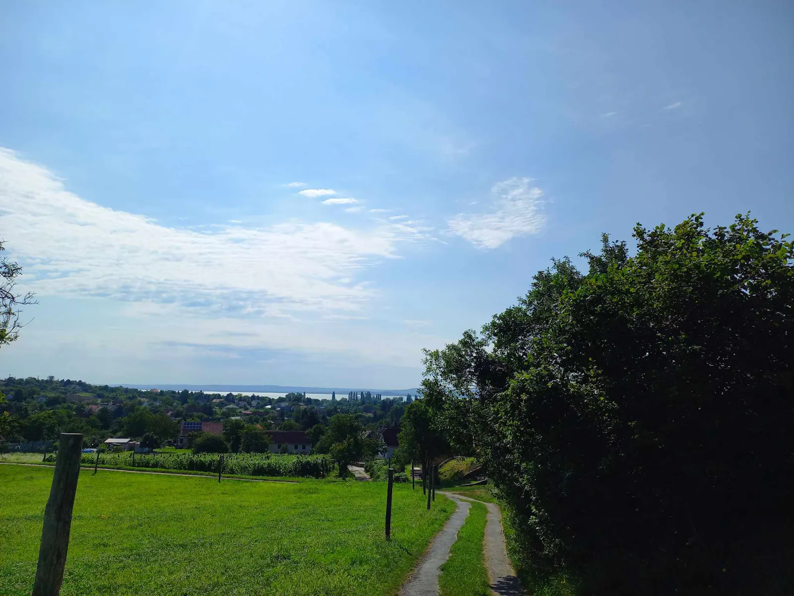Oberhalb von Salföld / Foto: Ungarn-TV
