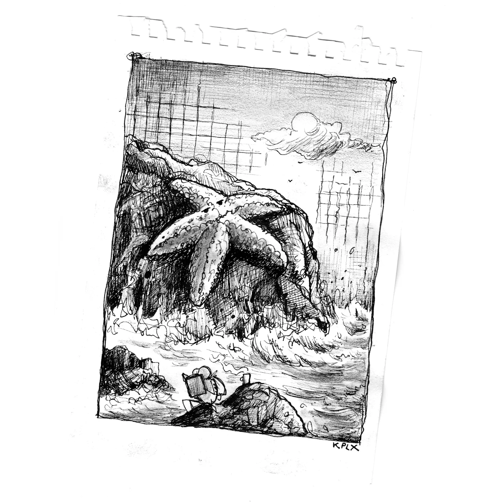 Schwarz-weiße Tuschezeichnung auf A5. Im Zentrum der Szene liegt ein großer Seestern auf einem dunklen, felsigen Küstenfelsen. Im vorderen Bereich sitzt eine Fliege auf einem Felsen, liest ein Buch und hat einen Kaffee rechts neben sich stehen.