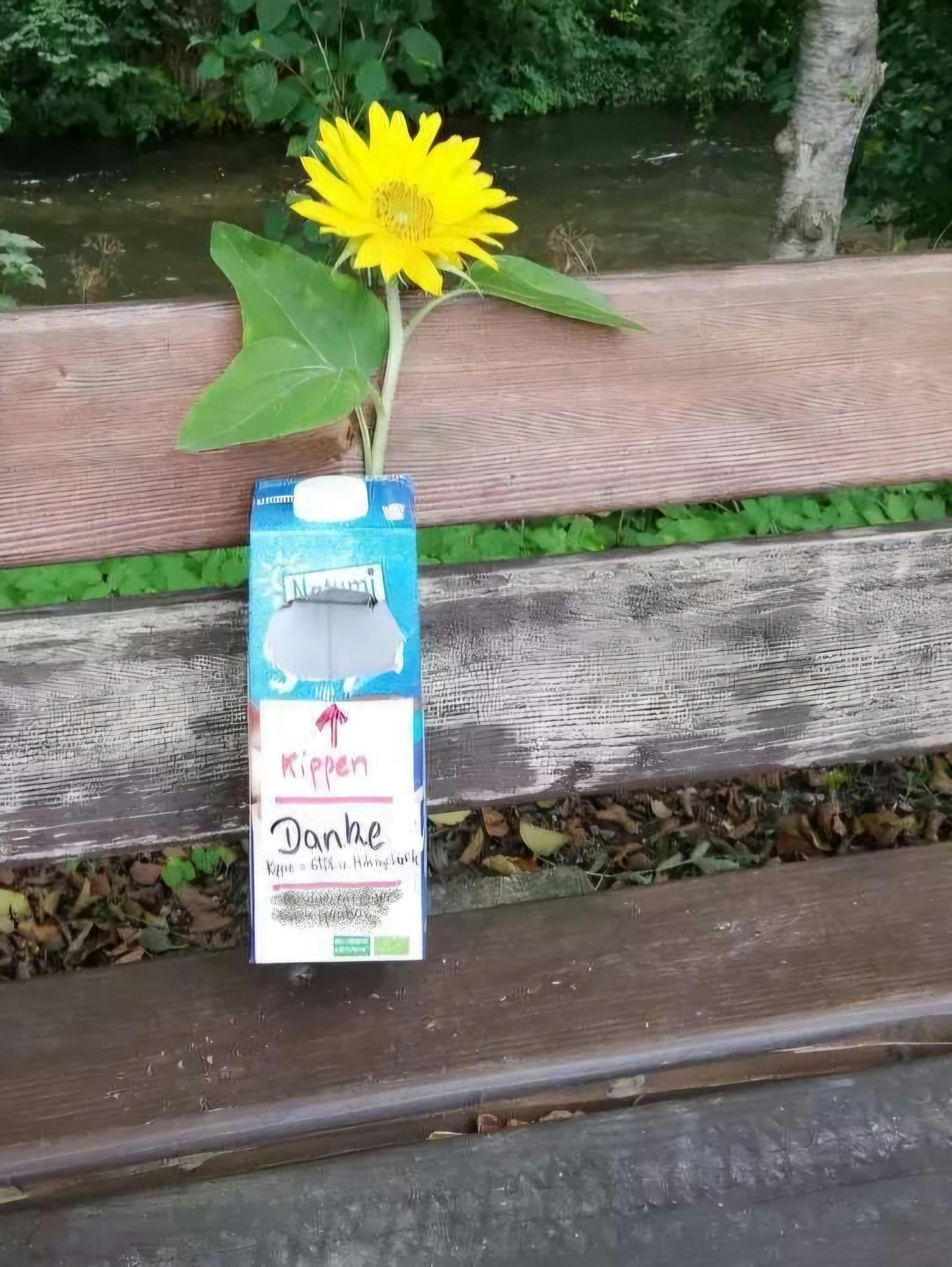 Eine Kippenbox an einer Bank befestigt, die dahinter geklemmte Sonnenblume ist ein schöner Blickfang