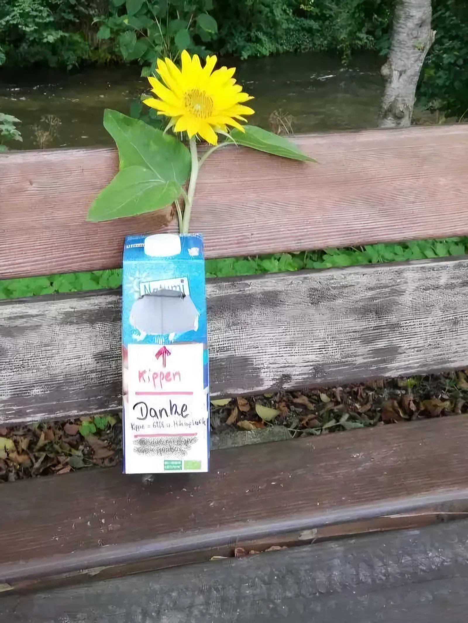Eine Kippenbox an einer Bank befestigt, die dahinter geklemmte Sonnenblume ist ein schöner Blickfang