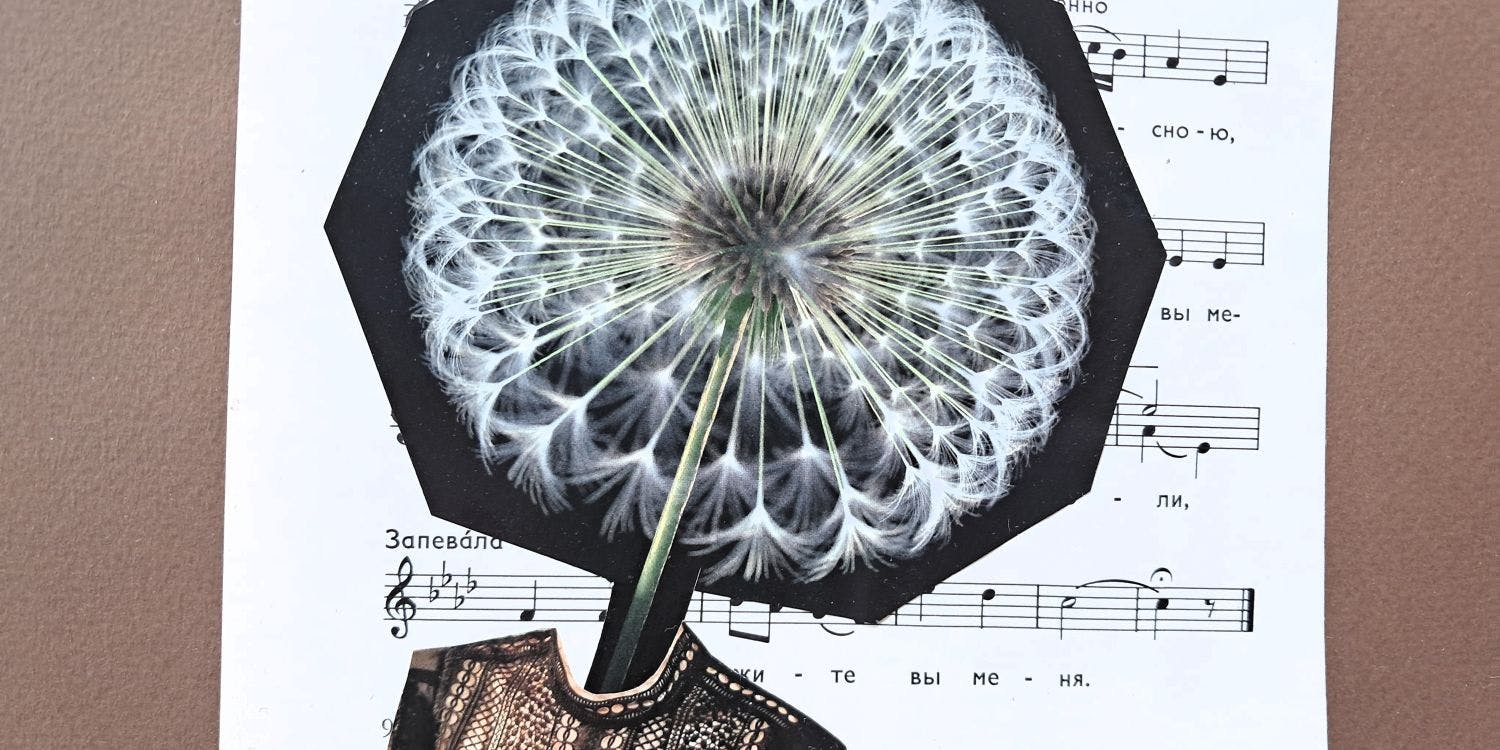Eine Collage mit einem Notenblatt auf braunem Hintergrund, im Vordergrund steckt eine Pusteblume in einem Kleidungsstück.