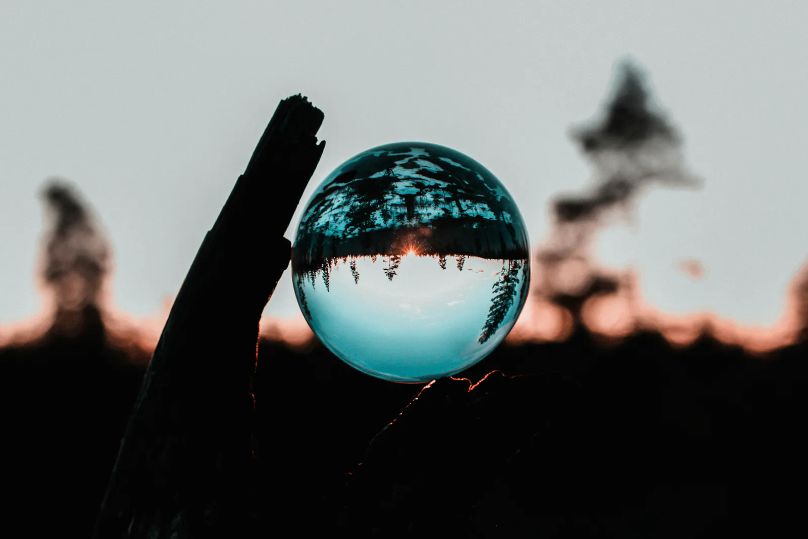 Glaskugel mit umgekehrtem Bild vom Wald