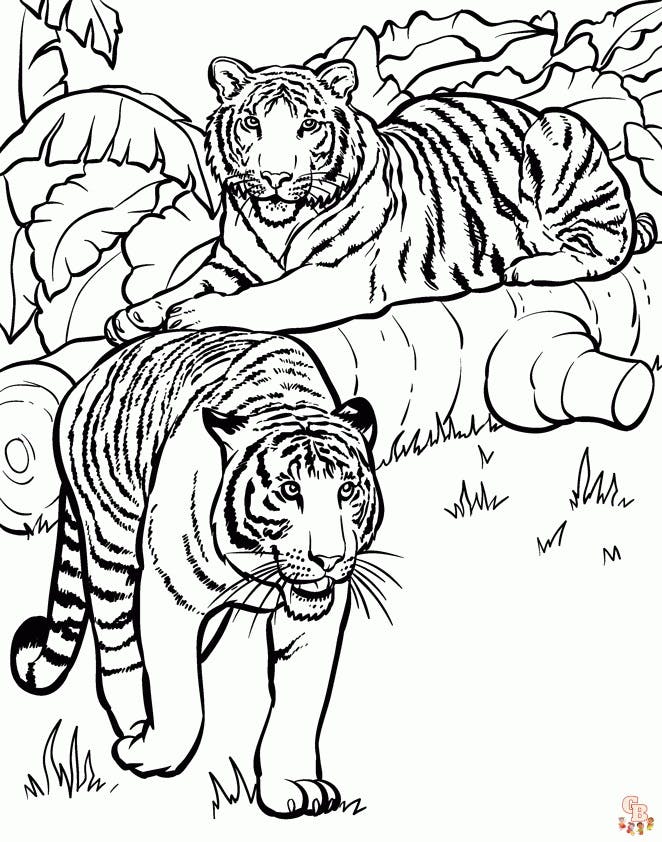 Tiger coloring page | Free Printable Coloring Pages