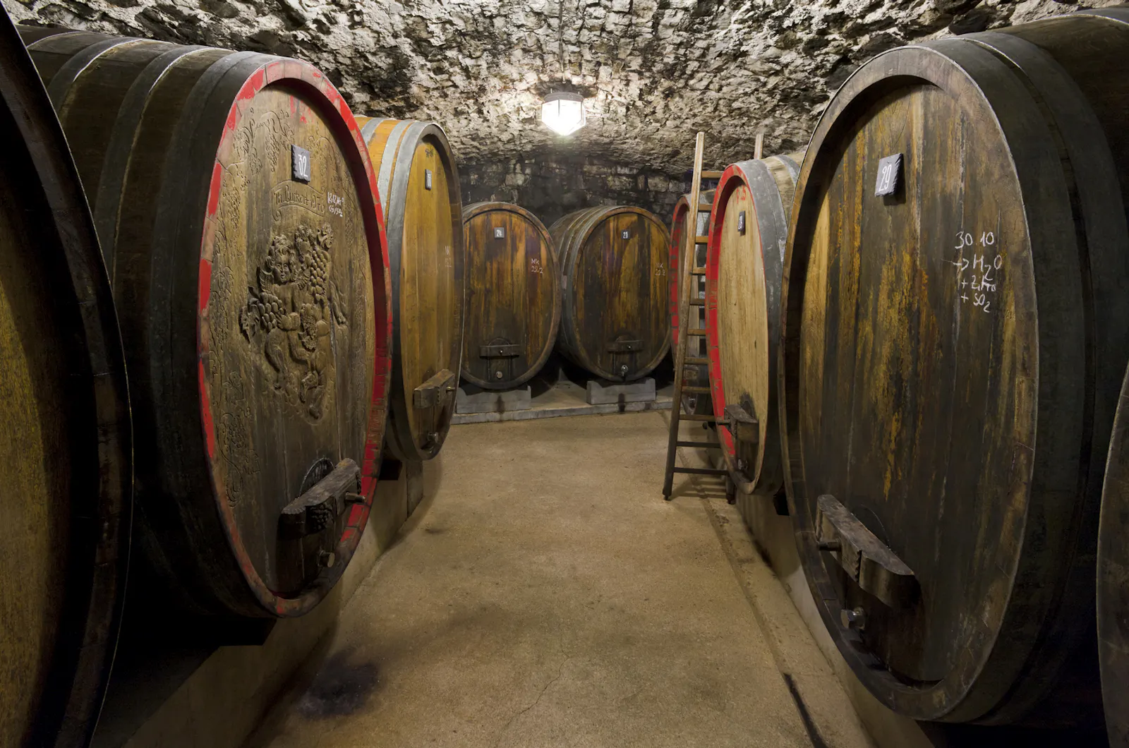 Große Holzfässer voll mit Wein stehen im Weinkeller des Weinguts Zehnthof Luckert